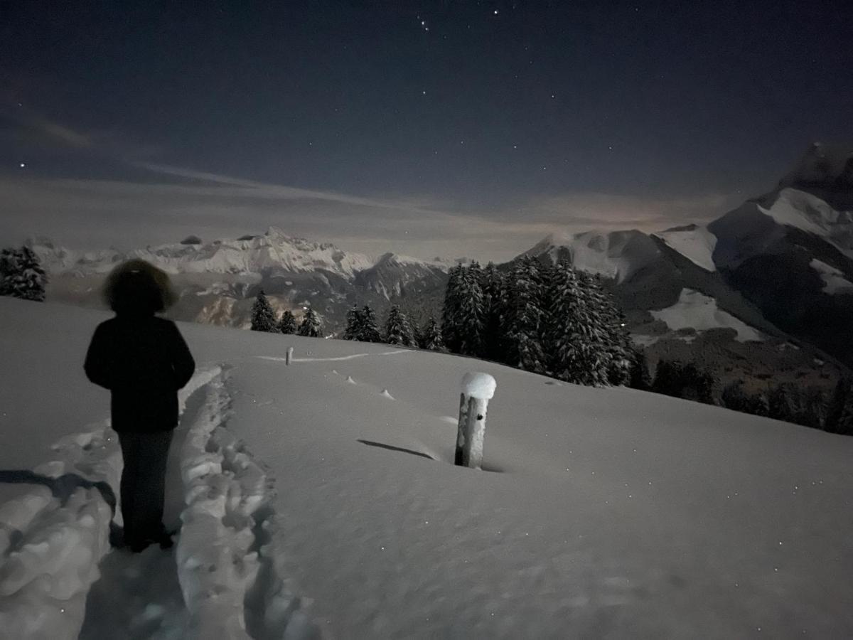 Chalet Chanso Morgins Buitenkant foto